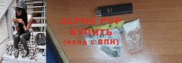 гидра Богородицк