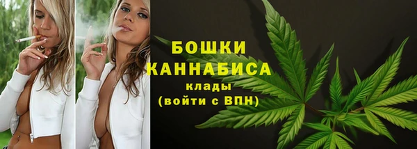 2c-b Богородск