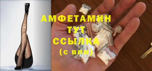 гидра Богородицк