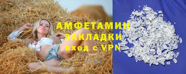 гидра Богородицк