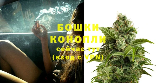 гидра Богородицк