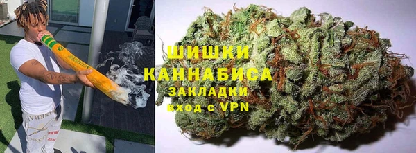 гидра Богородицк