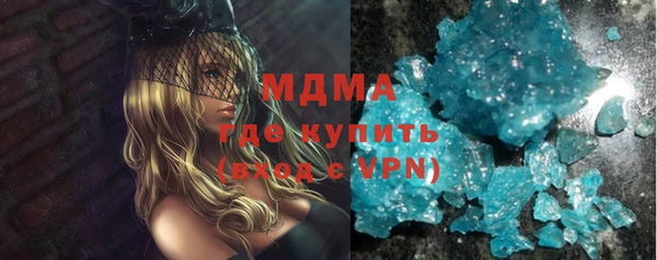гидра Богородицк