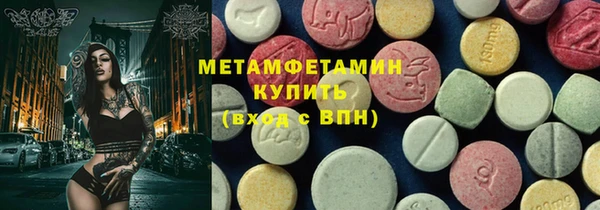 гидра Богородицк