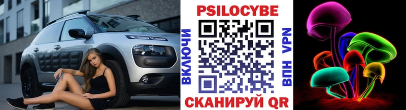 купить наркотик  Высоцк  Галлюциногенные грибы Psilocybe 